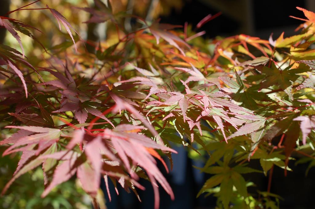 Kunihiro Yashiki Nasu Exterior foto